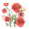 Card Peach and Orange Poppies